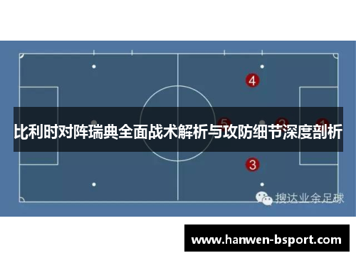 比利时对阵瑞典全面战术解析与攻防细节深度剖析