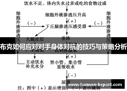 布克如何应对对手身体对抗的技巧与策略分析