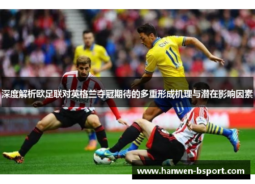 深度解析欧足联对英格兰夺冠期待的多重形成机理与潜在影响因素